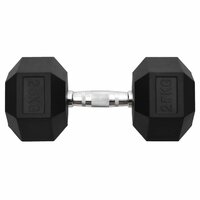 Halters 25 kg gietijzer 3