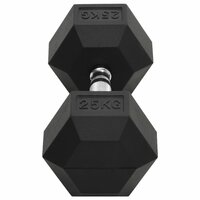 Halters 25 kg gietijzer 4