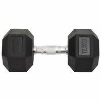 Halters 17,5 kg gietijzer 2