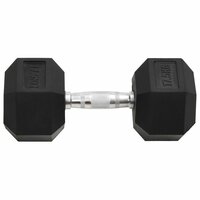 Halters 17,5 kg gietijzer 3