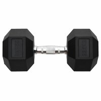Halters 22,5 kg gietijzer 3