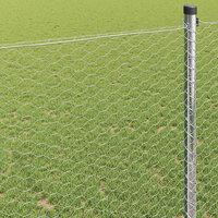 Hexagon Hek Zilver 0,4 x 10 m Gegalvaniseerd staal 4