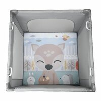 Reiswieg Chicco 4