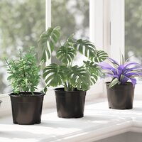 Bloempot 200 pcs Zwart &Oslash; 15 x 12.5 cm Kunststof 5
