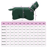 Paardendeken Volledig Donkergroen Polyester 9