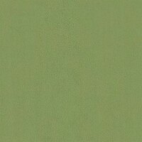 Bankstel 2 pcs Lichtgroen 138 x 78 x 80 cm Fluweel 8