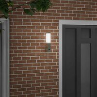 Buiten Wandlamp Zilver 10.5 x 6 x 33 cm 3