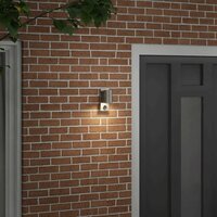Buiten Wandlamp Zilver 6,5 x 10,5 x 16 cm RVS en Glas 3
