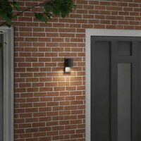 Buiten Wandlamp Zwart 6,5 x 10,5 x 16 cm RVS en Glas 3