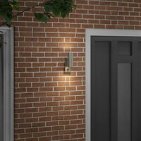 Buiten Wandlamp Zilver 7 x 10 x 22 cm RVS en Glas 3