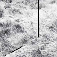 Hoogpolig vloerkleed NAVARRA 80x150 cm polyester zilvergrijs 7