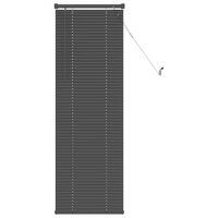 Venetiaanse Blind Verstelbaar Zilvergrijs 150 x 50 cm PVC 2