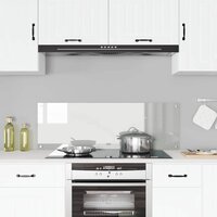 Keuken Spatscherm Doorzichtig 120 x 40 cm gehard glas 3