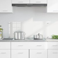 Keuken Achterwand Doorzichtig 100 x 40 cm gehard glas 3