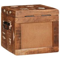Opbergbox met opslag met de deur Bruin Massief Mango Hout 7
