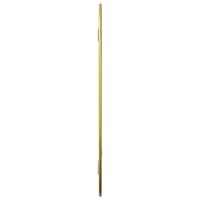 Wandspiegel 40x30 cm goudkleurig 5