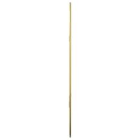 Wandspiegel 50x35 cm goudkleurig 5