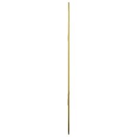 Wandspiegel 60x40 cm goudkleurig 5