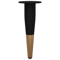Meubelpoten 2 pcs Zwart en Goud &Oslash; 40 x 98 mm IJzer 4
