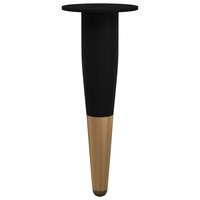 Meubelpoten 12 pcs Zwart en Goud &Oslash; 40 x 98 mm IJzer 6