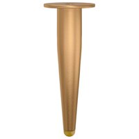 Staande Poten 12 pcs Goud 98 x 40 mm IJzer 4