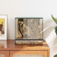 Terrarium met opslag Doorzichtig 30 x 30 x 30 cm Glas 4