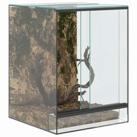 Terrarium met opslag Doorzichtig 30 x 30 x 40 cm Glas 3