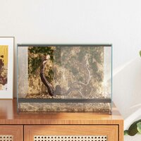 Terrarium met opslag Doorzichtig 40 x 30 x 30 cm Glas 4