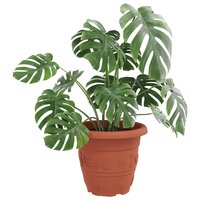 Ronde Bloempot 6 pcs Baksteenrood &Oslash; 26 x 21.5 cm Kunststof 3