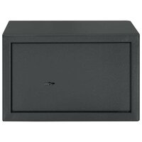 Kluis met slot Donkergrijs 31 x 20 x 20 cm Staal 4