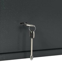 Kluis met slot Donkergrijs 35 x 25 x 25 cm Staal 7