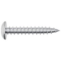 Zelftappende Nagel 2 pcs Verzinkt 4 x 25 mm Staal 4