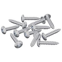 Houtschroeven 12 pcs Zilver M3,5 x 20 mm Staal 2