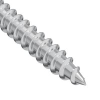 Houtschroeven 12 pcs Zilver M4 x 25 mm Staal 6