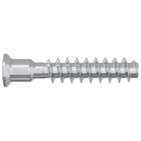 Hoofdkapbout 12 pcs Zilver M7 x 40 mm Staal 4