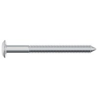 Bout 12 pcs Zilver M6 x 60 mm Staal 4