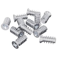Bout 12 pcs Zilver M6 x 12 mm IJzer 2