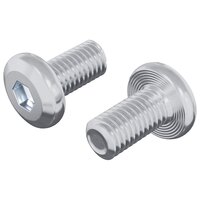 Slotschroef Effen 2 pcs Zilver M6 x 12 mm Staal 2