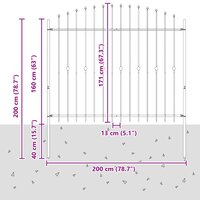 Spijlenhekwerk Zwart 200 x 200 cm Gepoedercoat staal 7