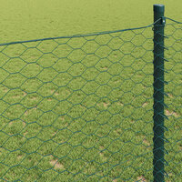 Hexagon Hek Groen 0.4 x 10 m Staal 4