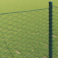 Hexagon Hek Groen 0,6 x 25 m PVC 4