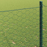 Hexagon Hek Groen 0,6 x 25 m PVC 4