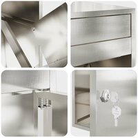 Pakketbrievenbus Zilver 47,5 x 38 x 59 cm Roestvrij staal 8