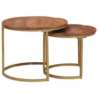 Salontafelset2 pcs Honingbruin Massief mangohout en staal 2