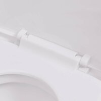 Hangend toilet met verborgen stortbak keramiek wit 7