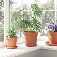 Plantenpotten 24 pcs Baksteenrood &Oslash; 19 x 16 cm Kunststof 4