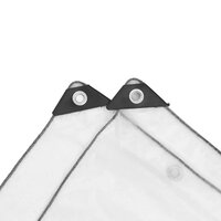 Doorzichtig zeildoek met zeilringen 4x4 m polyethyleen 6