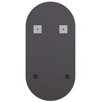 Spiegel met LED-verlichting ovaal 60x30 cm glas 6