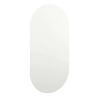 Spiegel met LED-verlichting ovaal 80x40 cm glas 4