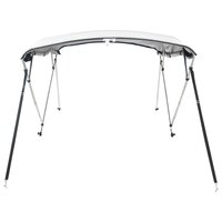 Biminitop 4 bogen met zijwanden 243x(170-182)x137 cm 5